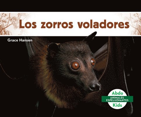 Los Zorros Voladores (Flying Foxes)