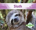 Sloth
