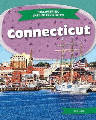 Ib Larsen - Connecticut, Inbunden