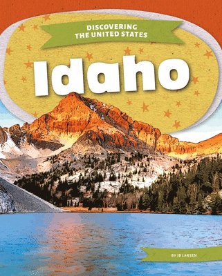 Ib Larsen - Idaho, Inbunden