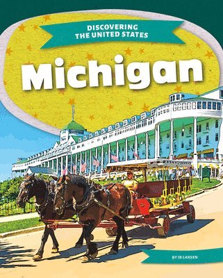 Ib Larsen - Michigan, Inbunden