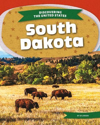 Ib Larsen - South Dakota, Inbunden