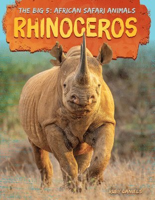 Ruby Daniels - Rhinoceros, Inbunden