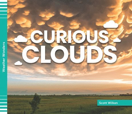 Scott Wilken - Curious Clouds, Inbunden. Tillgänglighet: Lägg i varukorg