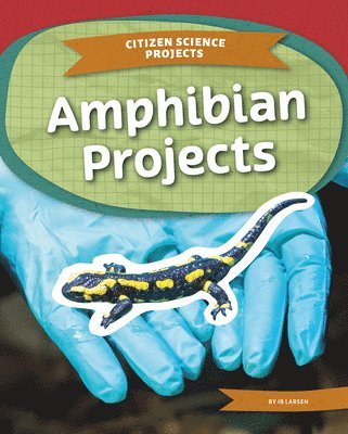 Ib Larsen - Amphibian Projects, Inbunden