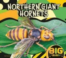 Tyler Gieseke - Northern Giant Hornet, Inbunden. Tillgänglighet: Lägg i varukorg