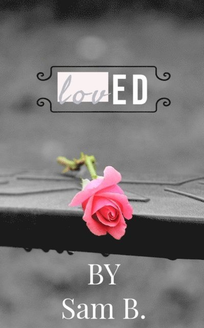 Sam B. - lovED, E-bok