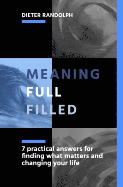 Dieter Randolph - Meaningfullfilled, E-bok