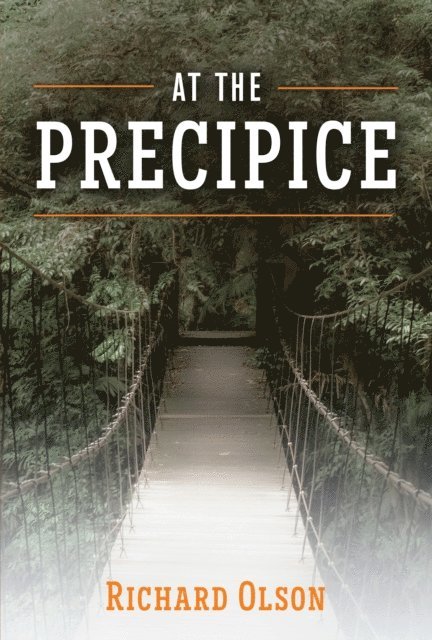 Richard Olson - At The Precipice, E-bok