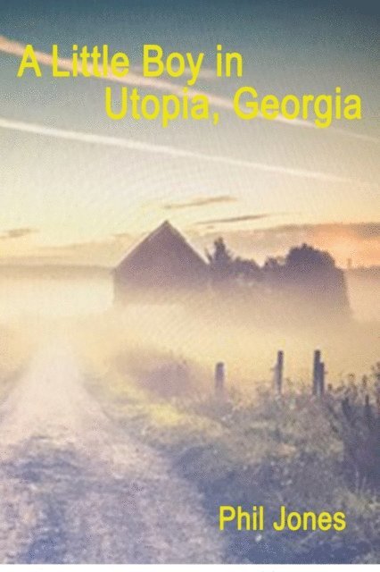 Phil Jones - Little Boy in Utopia, Georgia, E-bok