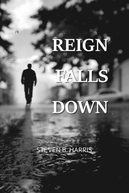Steven Harris - Reign Falls Down, E-bok