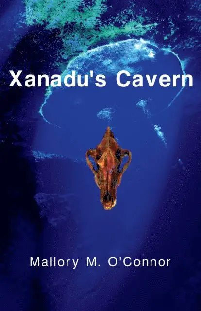 Mallory M. O'Connor - Xanadu's Cavern, E-bok. Tillgänglighet: Lägg i varukorg