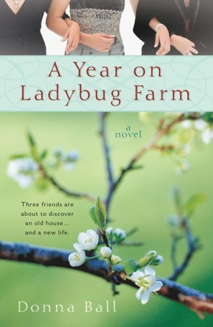 Donna Ball - Year on Ladybug Farm, E-bok