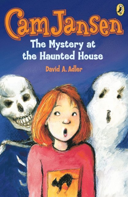 David A. Adler - Cam Jansen: The Mystery at the Haunted House #13, E-bok