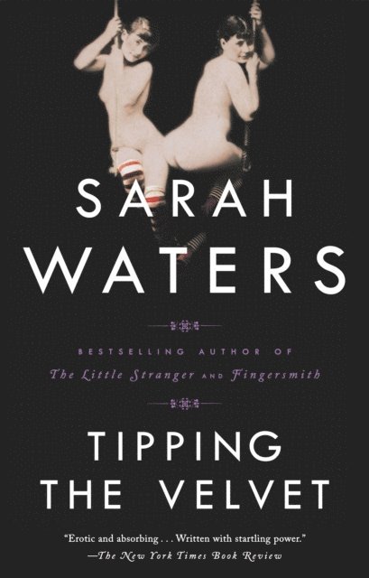 Sarah Waters - Tipping the Velvet, E-bok
