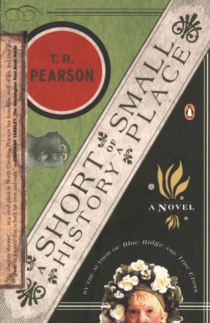 T. R. Pearson - Short History of a Small Place, E-bok