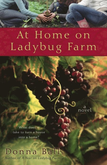 Donna Ball - At Home on Ladybug Farm, E-bok