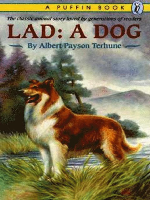 Albert Payson Terhune - Lad, E-bok