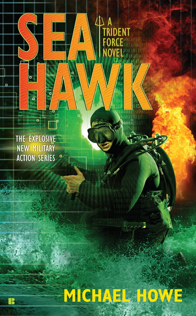 Michael Howe - Sea Hawk, E-bok