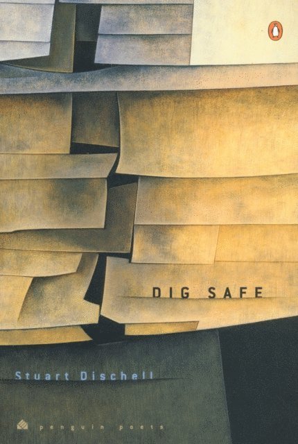 Stuart Dischell - Dig Safe, E-bok