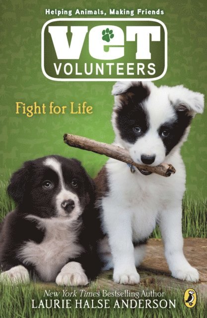 Laurie Halse Anderson - Fight for Life, E-bok