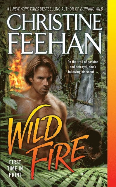 Christine Feehan - Wild Fire, E-bok
