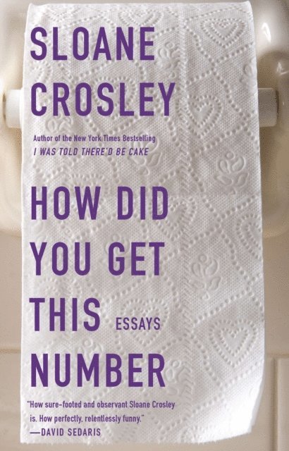 Sloane Crosley - How Did You Get This Number, E-bok