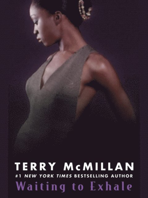 Terry McMillan - Waiting to Exhale, E-bok