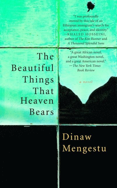 Dinaw Mengestu - Beautiful Things That Heaven Bears, E-bok