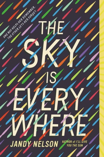 Jandy Nelson - Sky Is Everywhere, E-bok