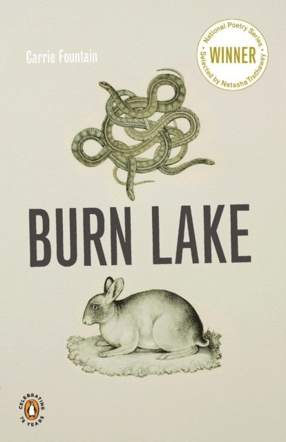 Carrie Fountain - Burn Lake, E-bok