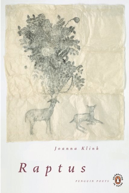 Joanna Klink - Raptus, E-bok