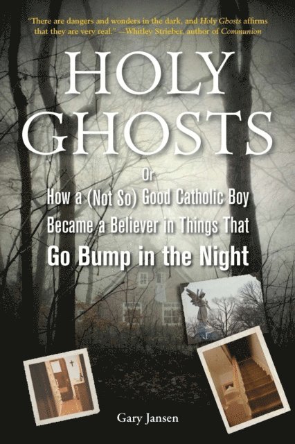 Gary Jansen - Holy Ghosts, E-bok