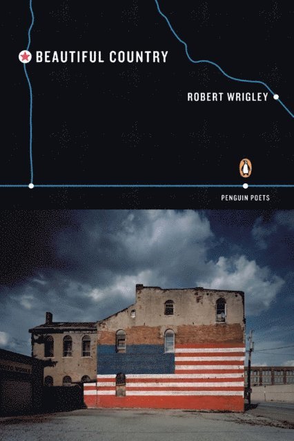 Robert Wrigley - Beautiful Country, E-bok