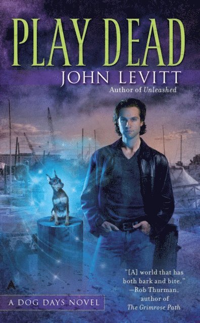 John Levitt - Play Dead, E-bok