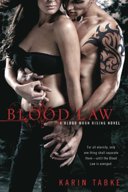 Karin Tabke - Blood Law, E-bok