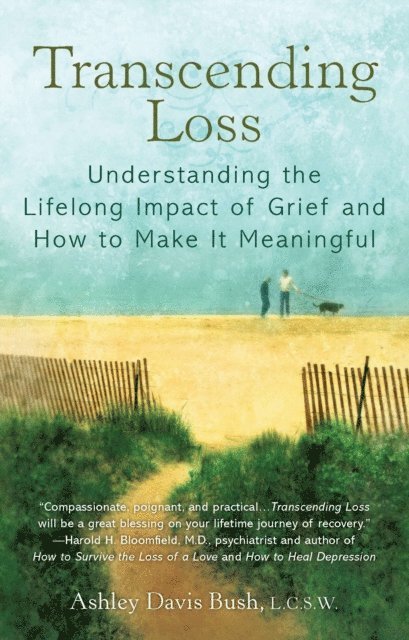 Ashley Davis Bush - Transcending Loss, E-bok