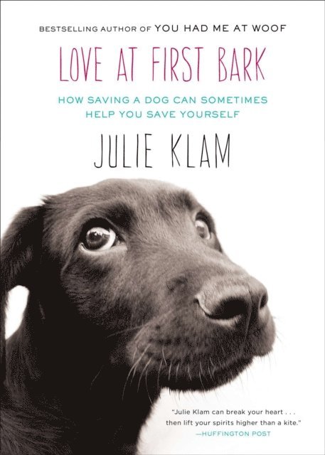 Julie Klam - Love at First Bark, E-bok