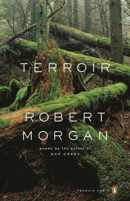 Robert Morgan - Terroir, E-bok