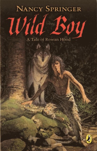 Nancy Springer - Wild Boy, E-bok