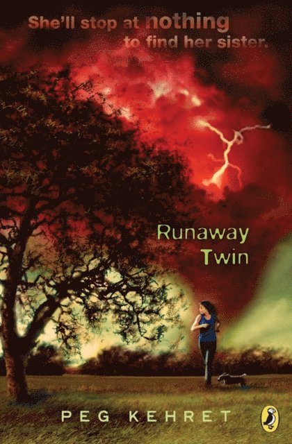 Peg Kehret - Runaway Twin, E-bok