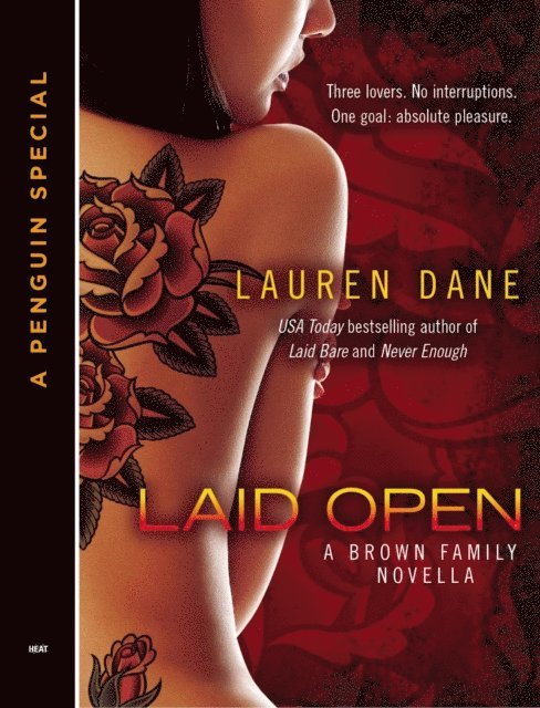 Lauren Dane - Laid Open, E-bok