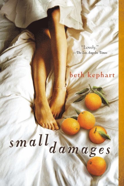 Beth Kephart - Small Damages, E-bok