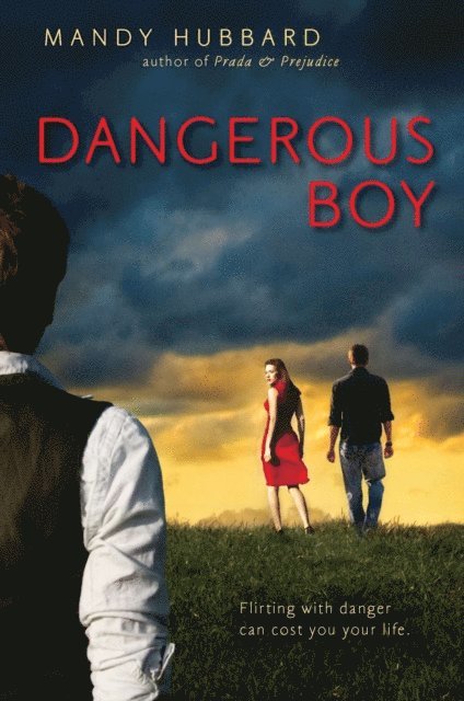 Mandy Hubbard - Dangerous Boy, E-bok