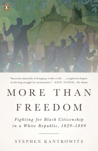 Stephen Kantrowitz - More Than Freedom, E-bok