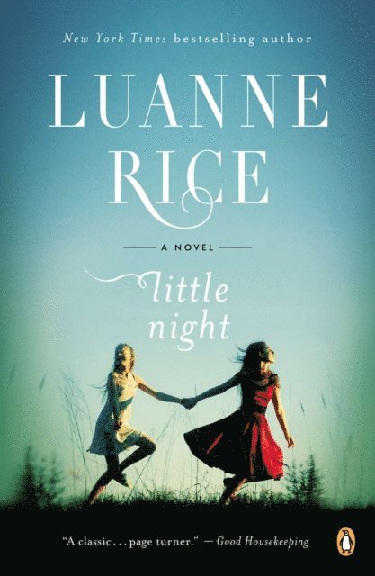 Luanne Rice - Little Night, E-bok