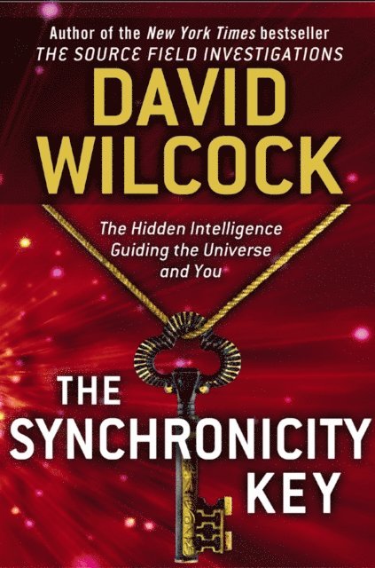 David Wilcock - Synchronicity Key, E-bok