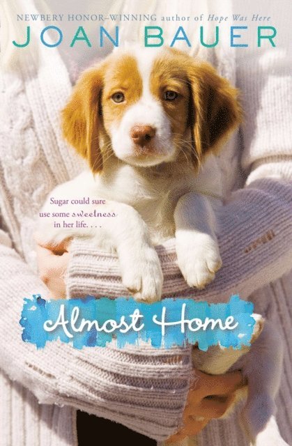 Joan Bauer - Almost Home, E-bok