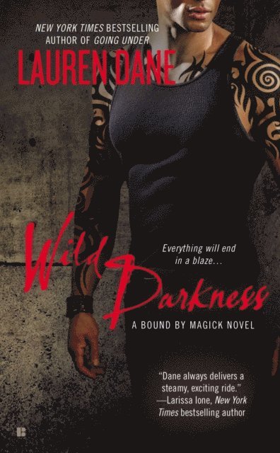 Lauren Dane - Wild Darkness, E-bok