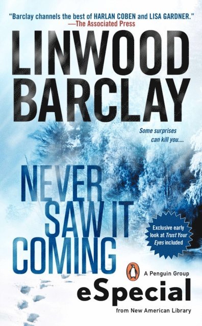 Linwood Barclay - Never Saw It Coming, E-bok